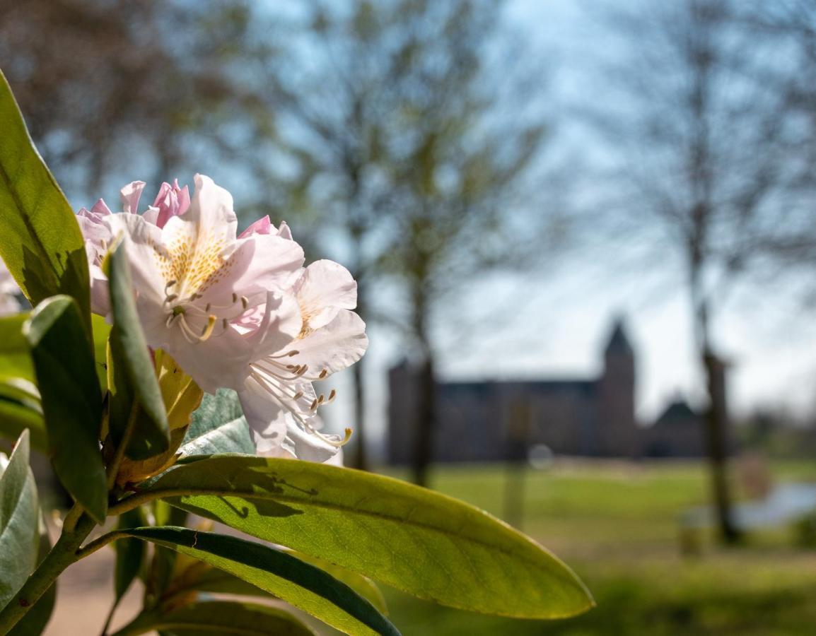 Villa Dunopark 49 Oostkapelle Buitenkant foto